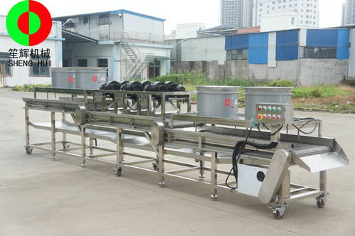 博樂砂糖橘速凍生產(chǎn)線與草石蠶生產(chǎn)線性價比及紙板復(fù)合生產(chǎn)線選購指南